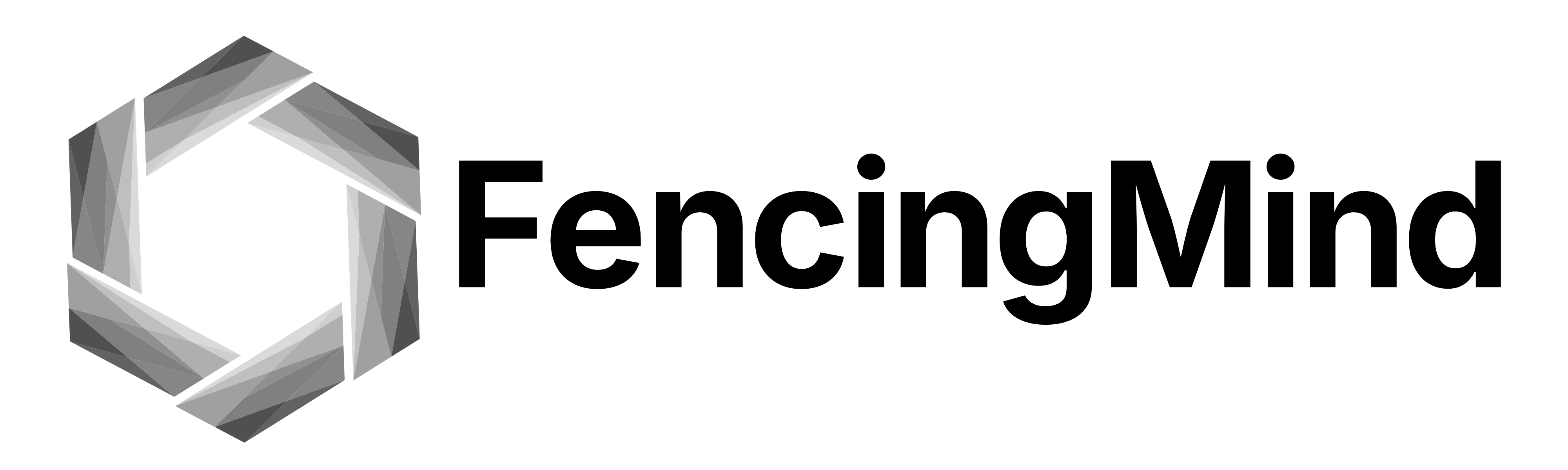 FencingMind
