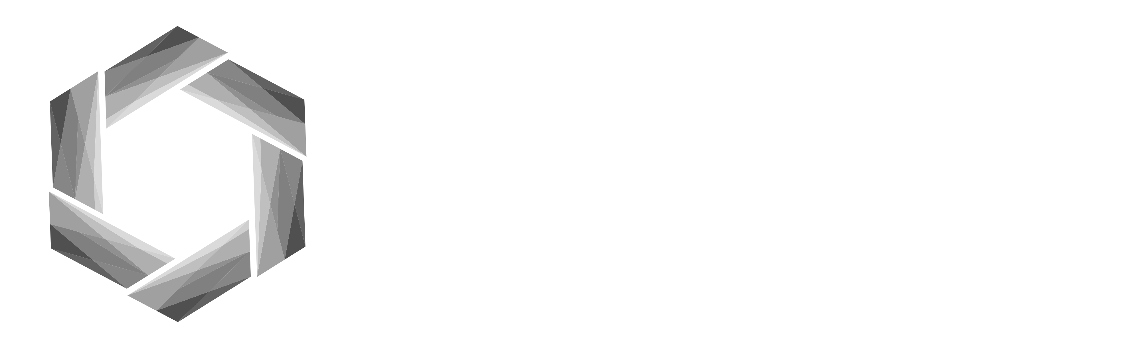 FencingMind